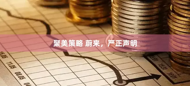 聚美策略 蔚来，严正声明