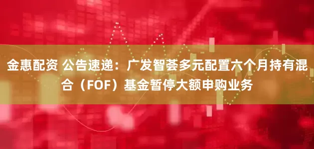 金惠配资 公告速递：广发智荟多元配置六个月持有混合（FOF）基金暂停大额申购业务